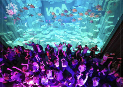 Organize with Gold for events an original event at the Aquarium