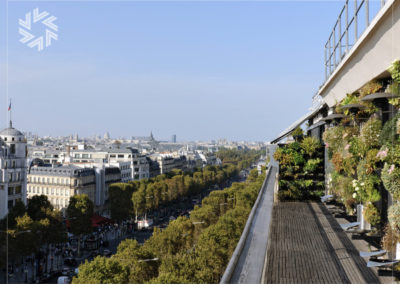 Pourquoi louer un jardin pour votre événement d'entreprise ?